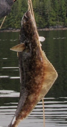 Douglas Channel fishing with Reliable